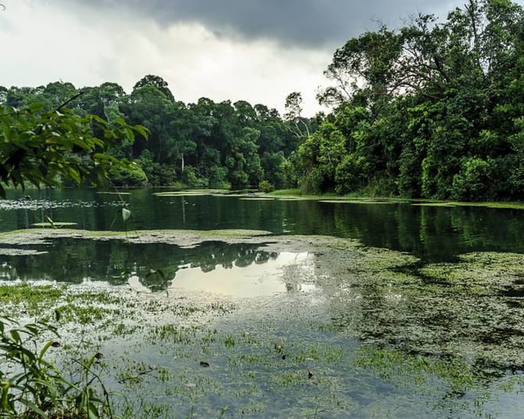 Report which rated Singapore's climate policies as 'critically insufficient' may not have accounted for 'unique challenges': NCCS