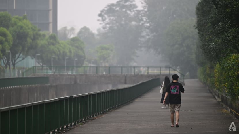 Spike in PM2.5 in Singapore catches people off guard, haze hits businesses and outdoor workers