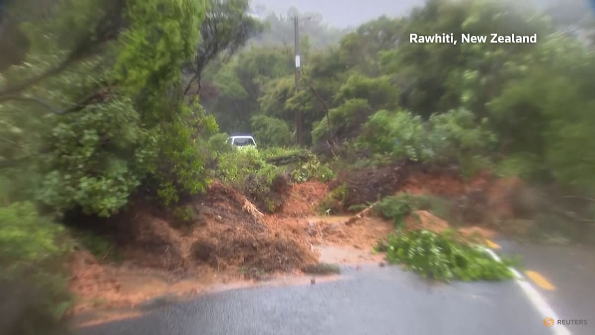 Heavy rains wreak havoc in New Zealand, several people missing in landslide