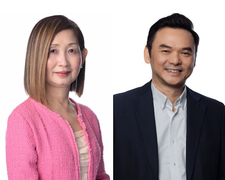Elaine Ng to succeed Low Eng Teong as National Arts Council CEO 