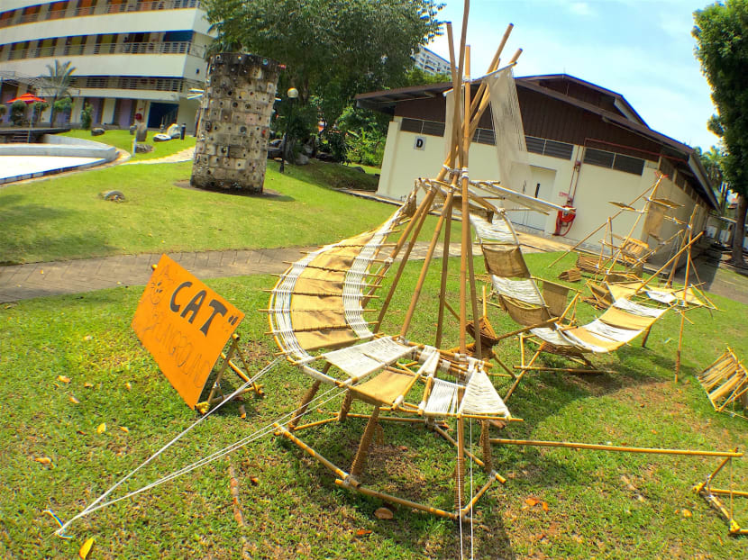 The cat playground at Goodman Arts Centre. Photo: Goodman Arts Centre
