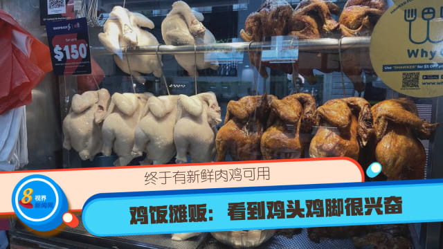终于有新鲜肉鸡可用 鸡饭摊贩：看到鸡头鸡脚很兴奋