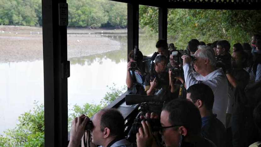Mandai mangrove and mudflats to be Singapore’s newest nature park