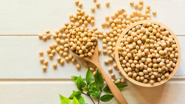 特朗普希望中国增购美国大豆 以减少对美贸易赤字