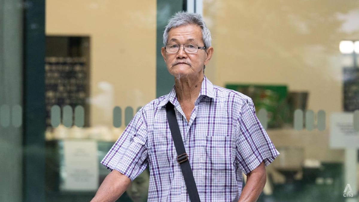 77-year-old man charged with freeing crows, disrupting NParks’ trapping operation