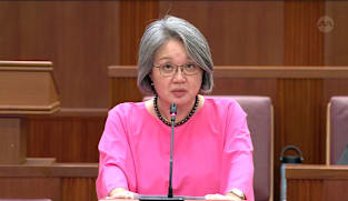 Committee of Supply 2026 debate, Day 6: Sylvia Lim on adoption of children 