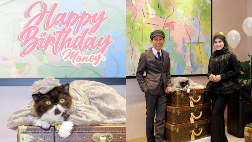 Haliza Maysuri belanja lebih RM17,000 bagi kucing kesayangan di cawangan Louis Vuitton Haliza Maysuri belanja lebih RM17,000 bagi kucing kesayangan di cawangan Louis Vuitton