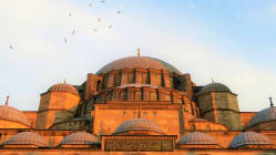 Related article image