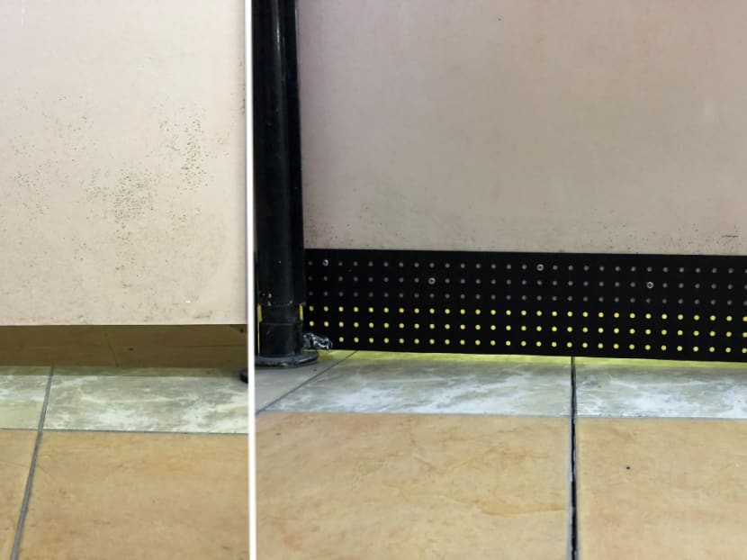 A shower cubicle at the National University of Singapore before (left) and after the upgrade.