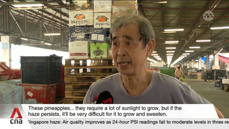 Wholesalers in Singapore say haze affecting vegetable size, supply and prices
