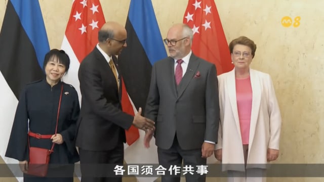 尚达曼总统：欧洲国家有强烈意愿深化与我国关系 