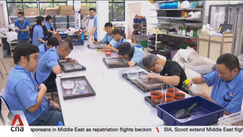 More sheltered workshop slots, housing options for persons with disabilities