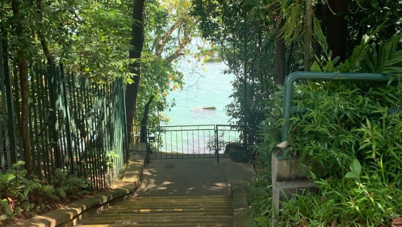 Related article image