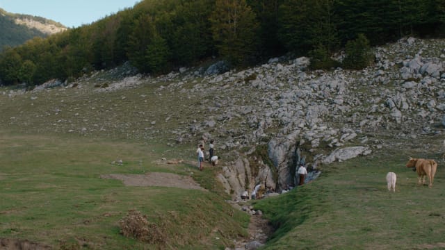 新片上映：Il buco