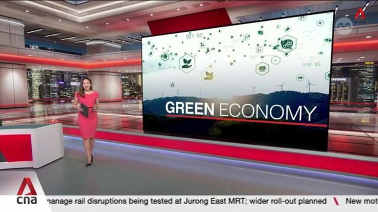 Nature-based carbon credits: Singapore to secure first carbon credits from 4 overseas projects 