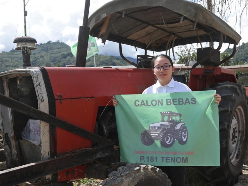 Independent candidate Peggy Chaw holding a flag with the logo of a tractor on it. She is one of two 23-year-olds to contest in the Malaysian general election. Independent candidate Peggy Chaw holding a flag with the logo of a tractor on it. She is one of two 23-year-olds to contest in the Malaysian general election.