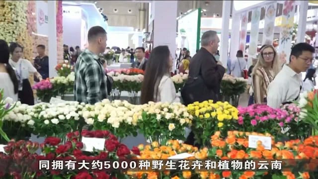 第23届昆明国际花卉展登场 吸引全球500家企业共襄盛举