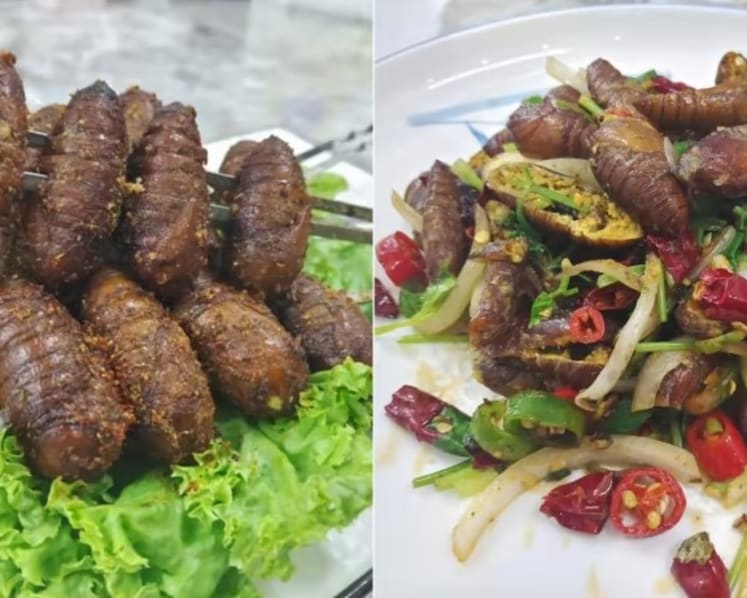 Grilled, fried or stewed: Eateries in Singapore serving up silkworms without approval