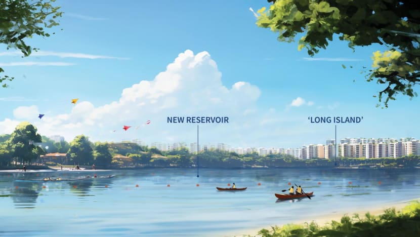 Reclaimed 'Long Island' will be about twice the size of Marina Bay, tripling length of existing East Coast waterfront: Desmond Lee