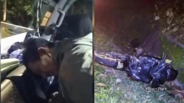 骑摩托撞大象 马国骑士摔倒逃命摩托车被大象毁   