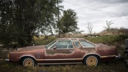 Related article image
