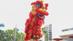 Related article image