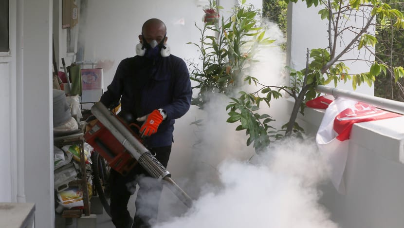 New Zika cluster in Sengkang, as local cases hit 369