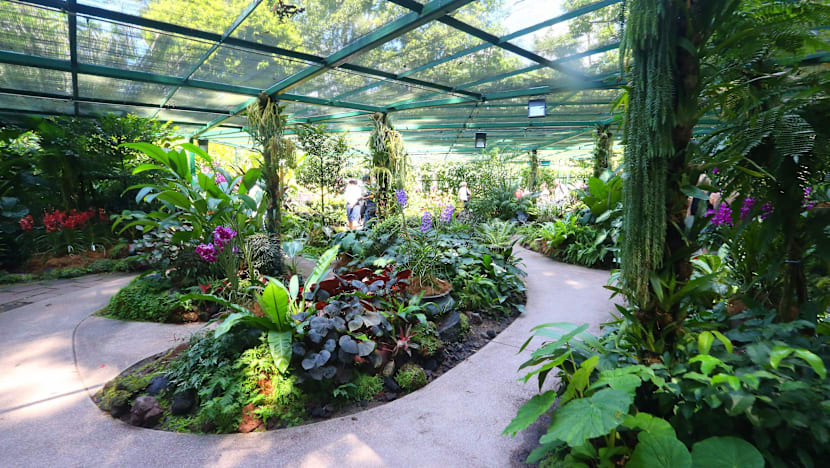 More enhancements to National Orchid Garden underway