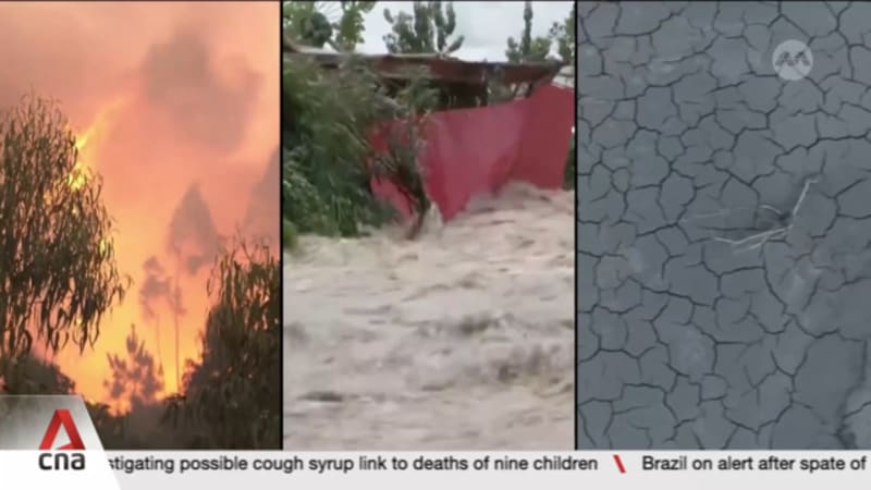 Milken Institute Asia Summit: Climate change now considered a threat to livelihoods and economies 
