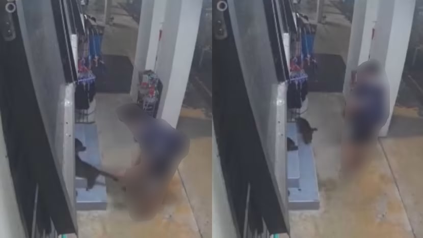 Man pleads guilty to indecent act on cat after being caught on CCTV