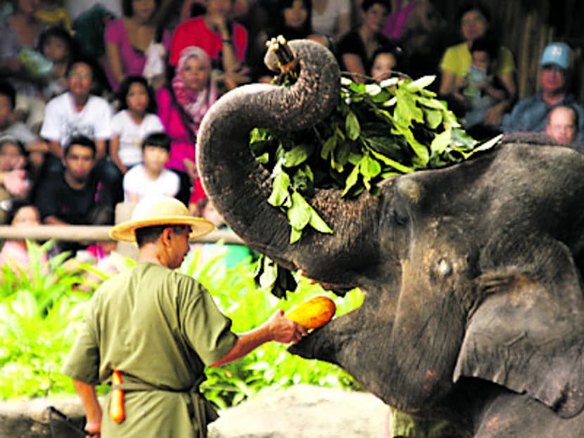 A multi-pronged, collaborative approach to wildlife conservation