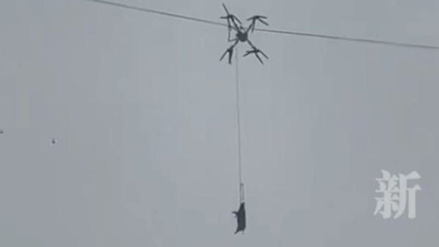 猪只飞上天！四川村民用无人机吊猪 不慎挂上电线导致大停电