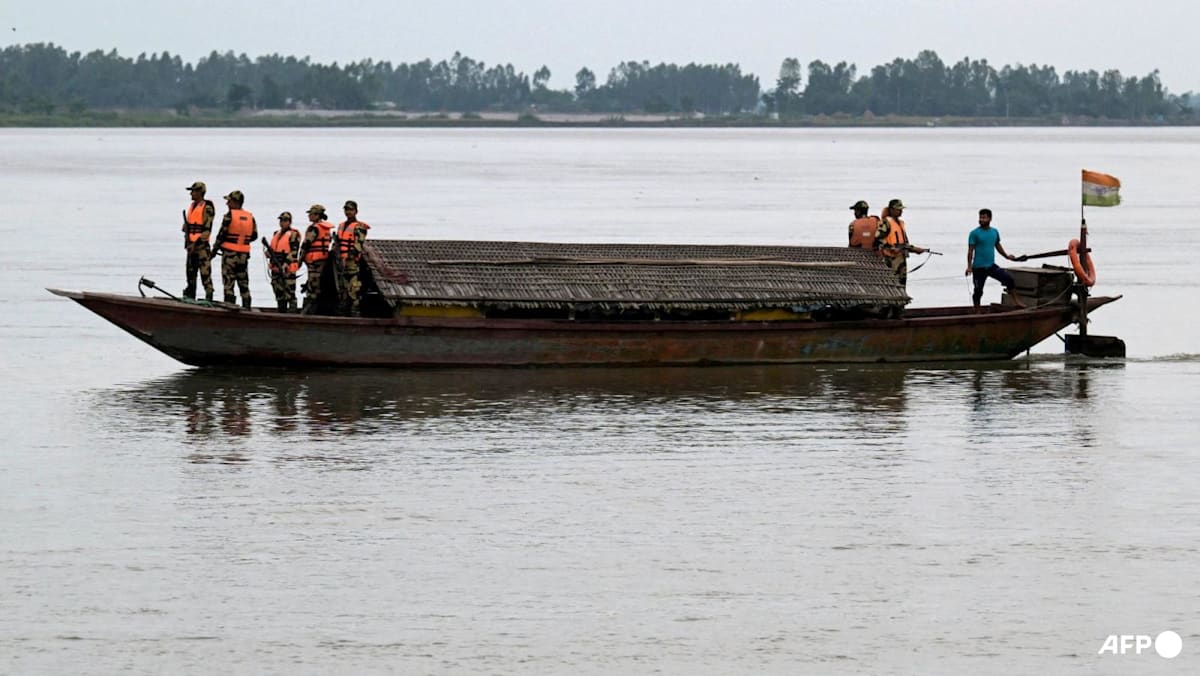 India mulls releasing snakes, crocodiles along Bangladesh border to deter unauthorised crossings