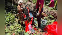 Related article image