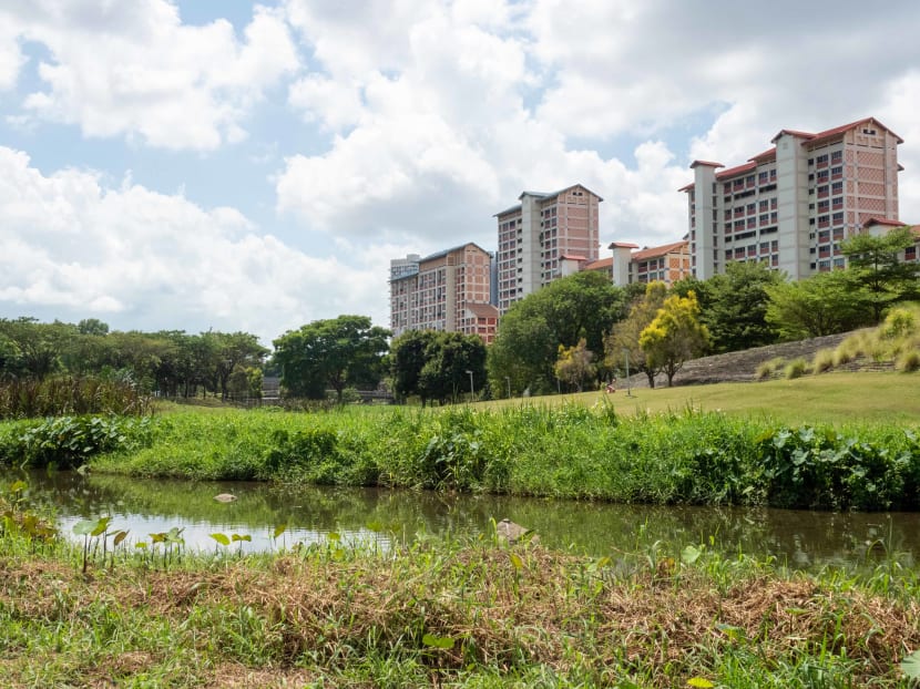The carbon tax hike will lead to an increase of about S$4 per month in utility bills for an average household living in a four-room Housing and Development Board flat. The carbon tax hike will lead to an increase of about S$4 per month in utility bills for an average household living in a four-room Housing and Development Board flat.