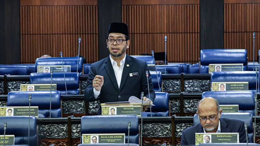 Malaysians lampoon minister over stress-gay link: ‘They never work hard in parliament?’