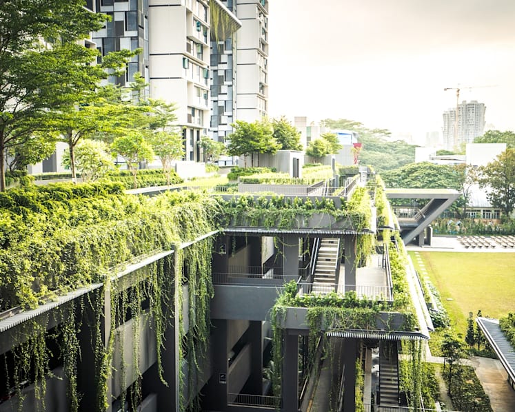 More plants, trees at new HDB housing estates with rollout of green requirements