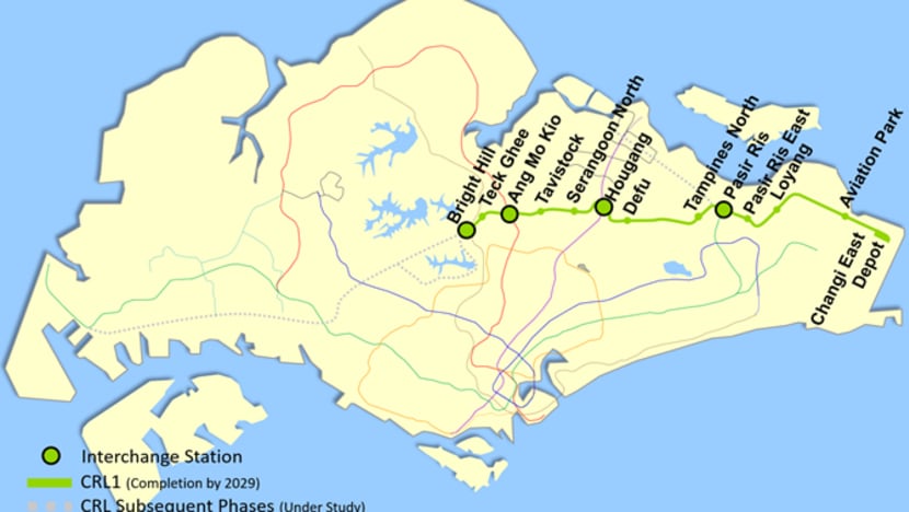 Explainer: How 2 proposed tunnelling routes for Cross Island Line will affect wildlife, housing areas