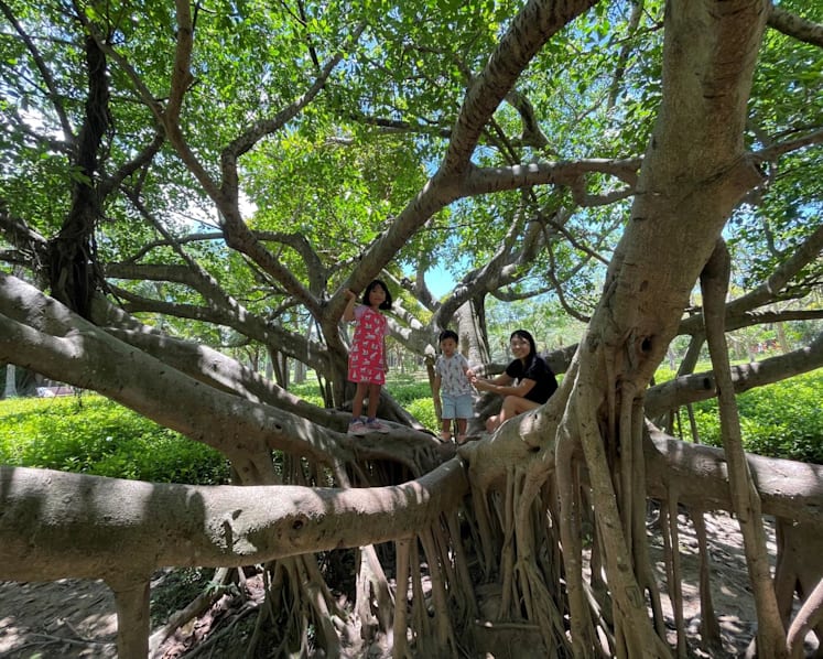 Commentary: How I use Singapore's flora and fauna to wean my children off their digital devices