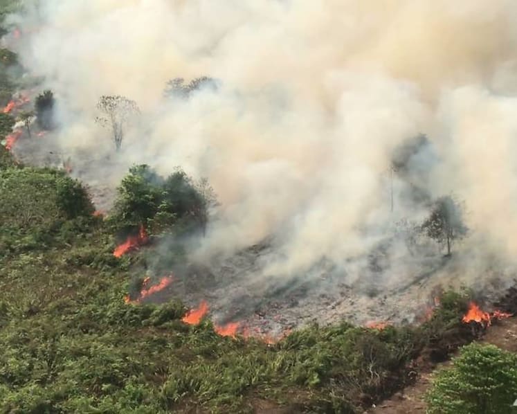Commentary: Little smoke this haze season – but fires rage on in Indonesia