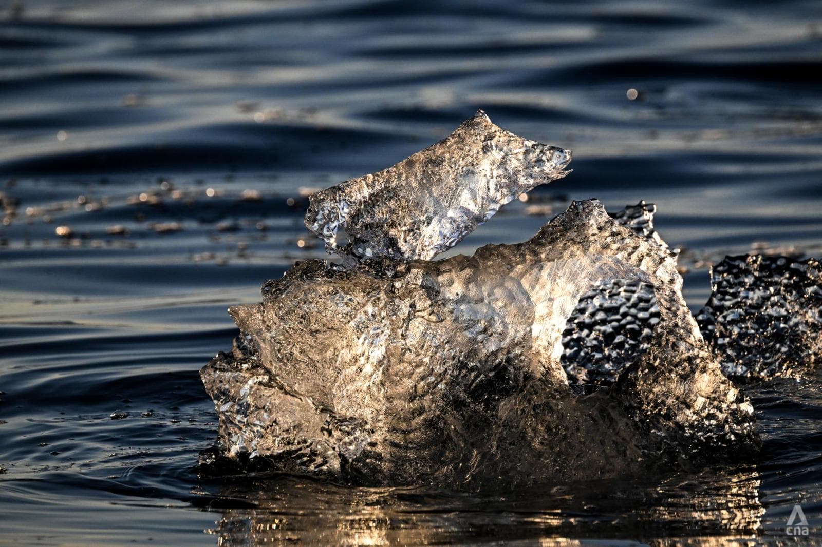 FOKUS: Greenland yang mencair dan peringatan dari ujung dunia