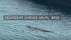 Related article image