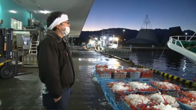 Gaia Series 100: Solve the seafood puzzle! Gaia Series 100: Solve the seafood puzzle!