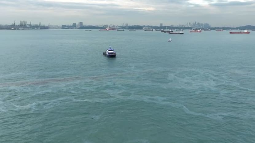 'Not as useful' to compare government's response times for 3 recent oil spills, says Murali Pillai 'Not as useful' to compare government's response times for 3 recent oil spills, says Murali Pillai