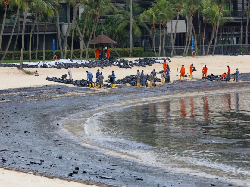 Workers cleaning up the oil slick at Tanjong beach in Sentosa, June 18, 2024. Workers cleaning up the oil slick at Tanjong beach in Sentosa, June 18, 2024.