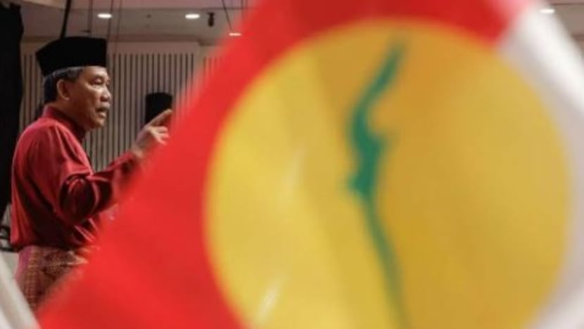 Timbalan Presiden UMNO sangkal dakwaan 2 juta ahli tinggalkan parti