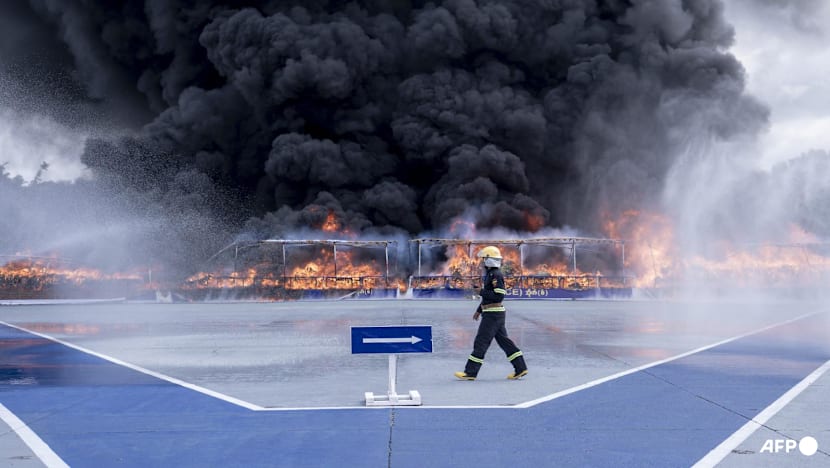 Myanmar burns US$525 million of illegal drugs