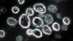 Related article image