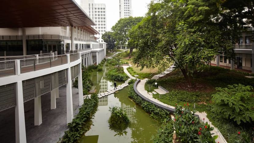 Expelled Yale-NUS student gets jail for filming shower videos of housemates, taking upskirt photos