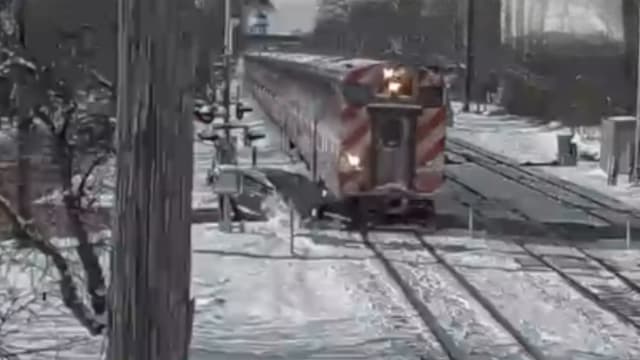 美伊利诺伊州发生火车冲撞汽车  触目惊心画面曝光
